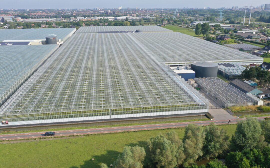 Schenkeveld neemt buurman Gebroeders van der Lelij over